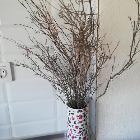 Apartmán Efthea Valley