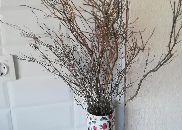 公寓 Efthea Valley